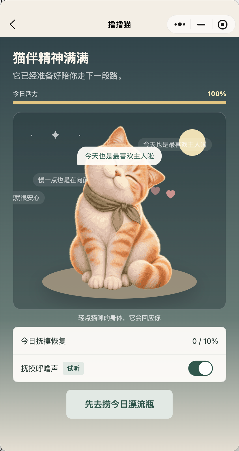 猫伴考研真实界面